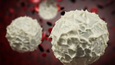 ۳۰ دقیقه ورزش گلبولهای سفید ضد سرطان را افزایش میدهد