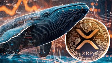 ۷۰ میلیون دلار XRP آماده فروش؟ پشت پرده تحرکات مشکوک نهنگ‌های ریپل