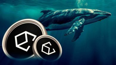 آیا نهنگ‌ها جرقه رالی بعدی اتنا را می‌زنند؟ ۱ میلیارد ENA انباشت شد!