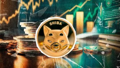 احتمال صعود شیبا اینو قوت گرفت؛ تشکیل اولین تقاطع طلایی در سال ۲۰۲۵!