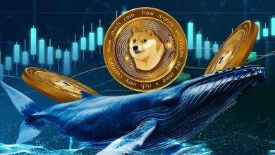 از انباشت ۱۶۱ میلیون دلاری تا جهش ۹ درصدی؛ تحلیل مسیر بعدی DOGE!