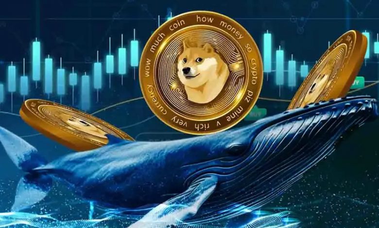 از انباشت ۱۶۱ میلیون دلاری تا جهش ۹ درصدی؛ تحلیل مسیر بعدی DOGE!