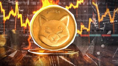 از تشکیل الگوهای صعودی تا سوزاندن ۴.۷ میلیون توکن؛ هدف قیمت شیبا اینو کجاست؟