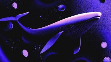 استقبال نهنگ‌ها از سقوط قیمت‌ها؛ رمزارزهای محبوب سرمایه‌گذاران بزرگ کدام‌اند؟