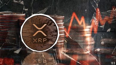 اصلاح سنگین ریپل به زیر ۳ دلار؛ موقعیت خرید یا هشدار سقوط بیشتر؟