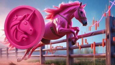 انباشت میلیونی نهنگها و حفظ حمایت مهم؛ جهش UNI تا ۱۲ دلار؟