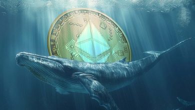 انباشت ۹۰۰ میلیون دلاری نهنگ‌ها در کف قیمت اتریوم! صعودی تاریخی در راه است؟