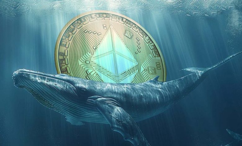 انباشت ۹۰۰ میلیون دلاری نهنگها در کف قیمت اتریوم! صعودی تاریخی در راه است؟