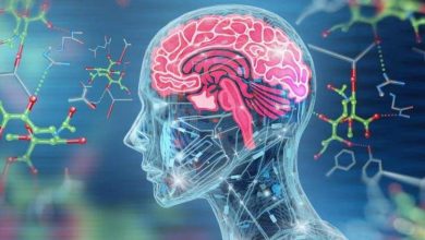 اوزمپیک از سکته مغزی جلوگیری میکند؟