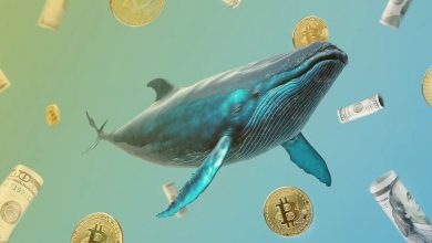 با ۴ تریلیون دلاری شدن بازار کریپتو نهنگ‌ها مشغول خرید و فروش چه ارزهایی هستند؟