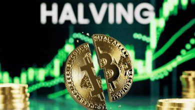 بازار صعودی بیت‌کوین کی به اوج می‌رسد؟ پیش‌بینی جدید بر اساس الگوهای هاوینگ