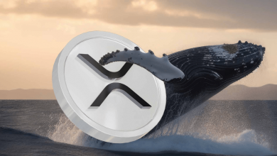 بازار XRP زیر سلطه نهنگها! آیا ریپل میتواند رکورد قیمتی جدیدی ثبت کند؟