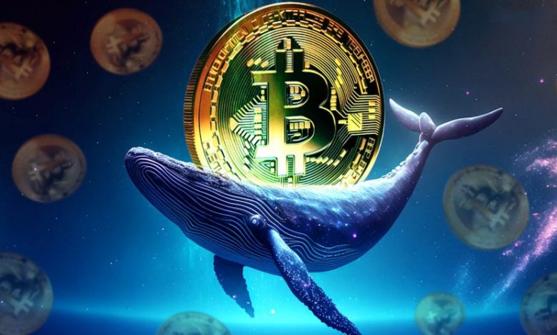 بازگشت شکارچی بزرگ BTC؛ این نهنگ هر روز ۳۰۰ بیتکوین میبلعد!