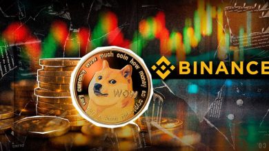 برداشت ۵۳ میلیون دوجکوین از بایننس! نهنگها برای رالی قیمت آماده میشوند؟