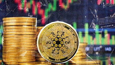 بریکاوت ADA و افزایش قیمت در بازار نزولی؛ رالی تا کجا ادامه دارد؟