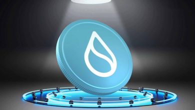 تزریق سرمایه ۵۰۰ میلیون دلاری در کنار همکاری بانکی؛ سویی آماده پرواز به ۵ دلار؟