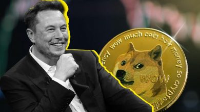 جهش DOGE با حمایت ایلان ماسک؟ طرح خزانه ۲۰۰ میلیون دلاری چیست؟