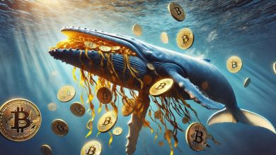 حرکت بزرگ نهنگهای خفته BTC؛ فرصت خرید یا هشدار فروش؟