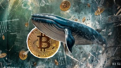 خروج ۲۰ هزار BTC از صرافیها؛ سیگنال صعودی نهنگها؟