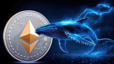 خرید ۱ میلیارد دلاری نهنگها؛ افت قیمت ETH موقتی است؟