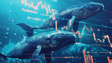 در پی ریزش قیمتها در بازار، نهنگها چه رمزارزهایی را خرید و فروش میکنند؟