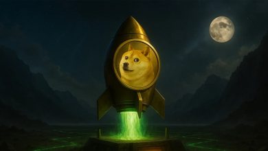 دوج کوین، الگوی ۱۰ ساله و رشد انفجاری قیمت!