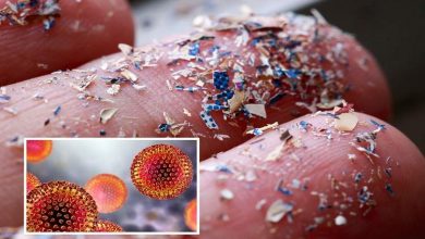 روزانه ۶۸ هزار ذره میکروپلاستیک در ریههای شما؛ تهدیدی نامرئی و همهگیر