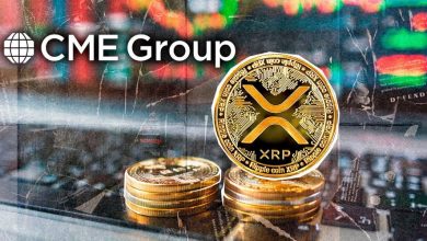 رکوردشکنی بزرگ ریپل در بورس شیکاگو؛ سود باز XRP از ۱ میلیارد دلار گذشت!