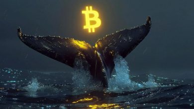 سود باورنکردنی ۱۲ میلیون درصدی؛ نهنگ قدیمی بیتکوین از خواب ۱۵ ساله بیدار شد!