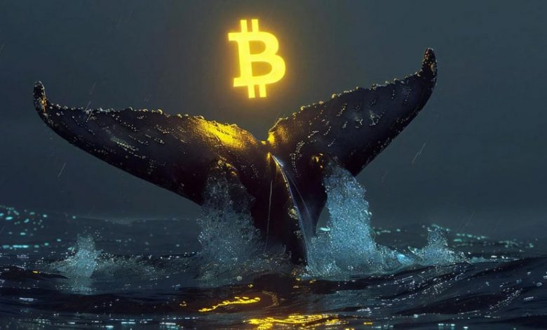 سود باورنکردنی ۱۲ میلیون درصدی؛ نهنگ قدیمی بیتکوین از خواب ۱۵ ساله بیدار شد!
