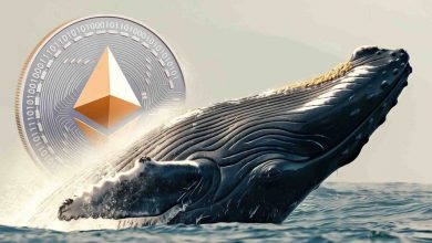 شکار فرصت توسط نهنگهای اتریوم؛ صدها میلیون دلار ETH در کف قیمت انباشت شد!