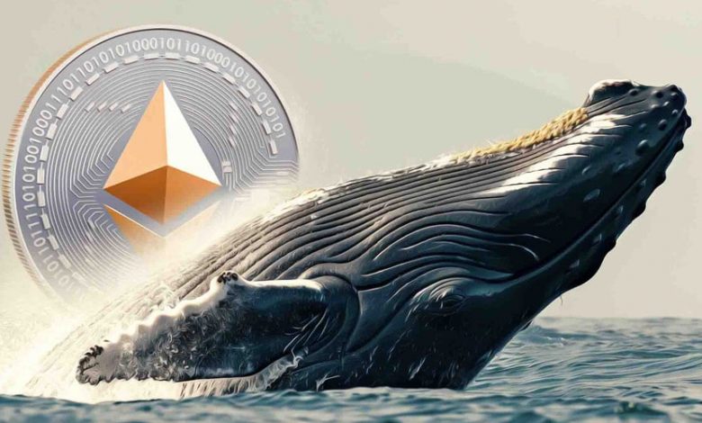 شکار فرصت توسط نهنگهای اتریوم؛ صدها میلیون دلار ETH در کف قیمت انباشت شد!