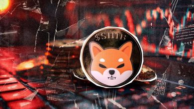 شیبا اینو در گرداب نزولی؛ سقوط قیمت تا کجا ادامه دارد؟