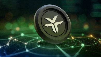 صدرنشینی دکسی در جدول سودآورترین رمزارزها؛ منتظر ۱۰ دلاری شدن DEXE باشیم؟