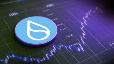 فرصت طلایی برای خرید SUI؟ نظر معاملهگران حرفهای چیست؟