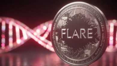 قیمت FLR زیر میانگین‌ها؛ حمایت کلیدی حفظ می‌شود؟