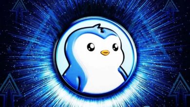 لیکویید شدن لانگها و سیگنال خرید؛ پنگو آماده صعود؟