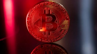 معامله‌گران خرد در وحشت! الگوهای تاریخی درباره روند بعدی بیت‌کوین چه می‌گویند؟