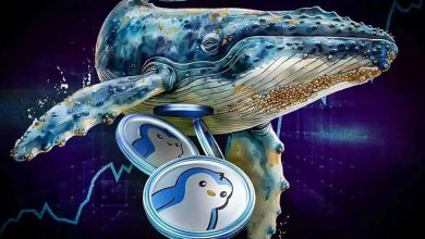 نهنگها در ۵ روز ۱ میلیارد PENGU خریدند! پاجی پنگوئنز دوباره اوج میگیرد؟