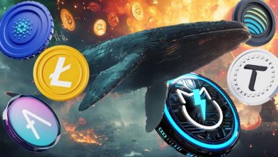 نهنگها پس از سخنرانی پاول سراغ کدام آلتکوینها رفتند؟