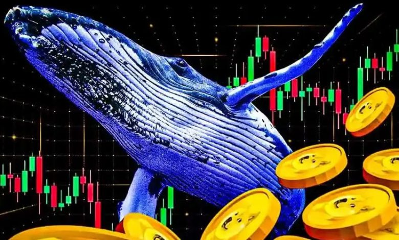 هجوم نهنگها برای خرید DOGE؛ مقاومت ۰.۲۳ دلار شکسته میشود؟