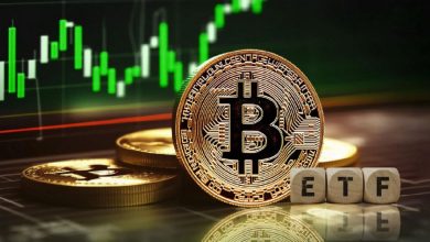 پایان فشار فروش در بازار؟ ETFهای بیتکوین ۹۱ میلیون دلار سرمایه جذب کردند!