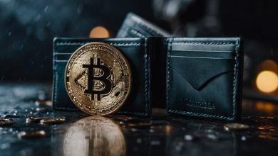 پشت پرده جابه‌جایی ۱۶۰۰ بیت‌کوین قدیمی؛ هولدر ۱۳ ساله چه نقشه‌ای در سر دارد؟