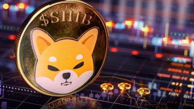 چرا افت ۱۱ درصدی شیبا اینو ممکن است به یک جهش بزرگ منجر شود؟