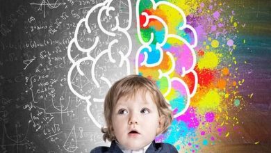چگونه ساختار مغز کودکان مسیر موفقیت ذهنی را رقم میزند!