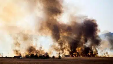 کشف پادزهری برای مونوکسید کربن که مسمومیت را از بین میبرد