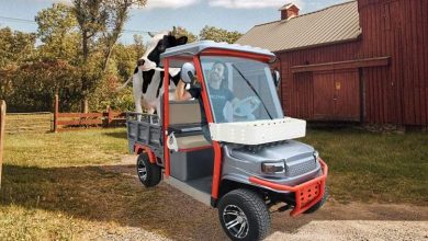 گلف‌کارت 2000 دلاری چینی با هویت وانت؛ ترکیبی عجیب اما کاربردی