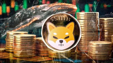 ۳ تریلیون SHIB از کوینبیس برداشت شد! ماجرای انتقال شیبا به شبکه سولانا چیست؟