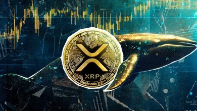 ۹۰۰ میلیون XRP در ۴۸ ساعت! نهنگهای ریپل چه نقشهای در سر دارند؟