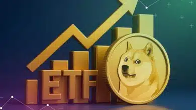 از تأیید ETF تا خزانهداری ۱۷۵ میلیون دلاری؛ فومو در بازار دوجکوین اوج گرفت!